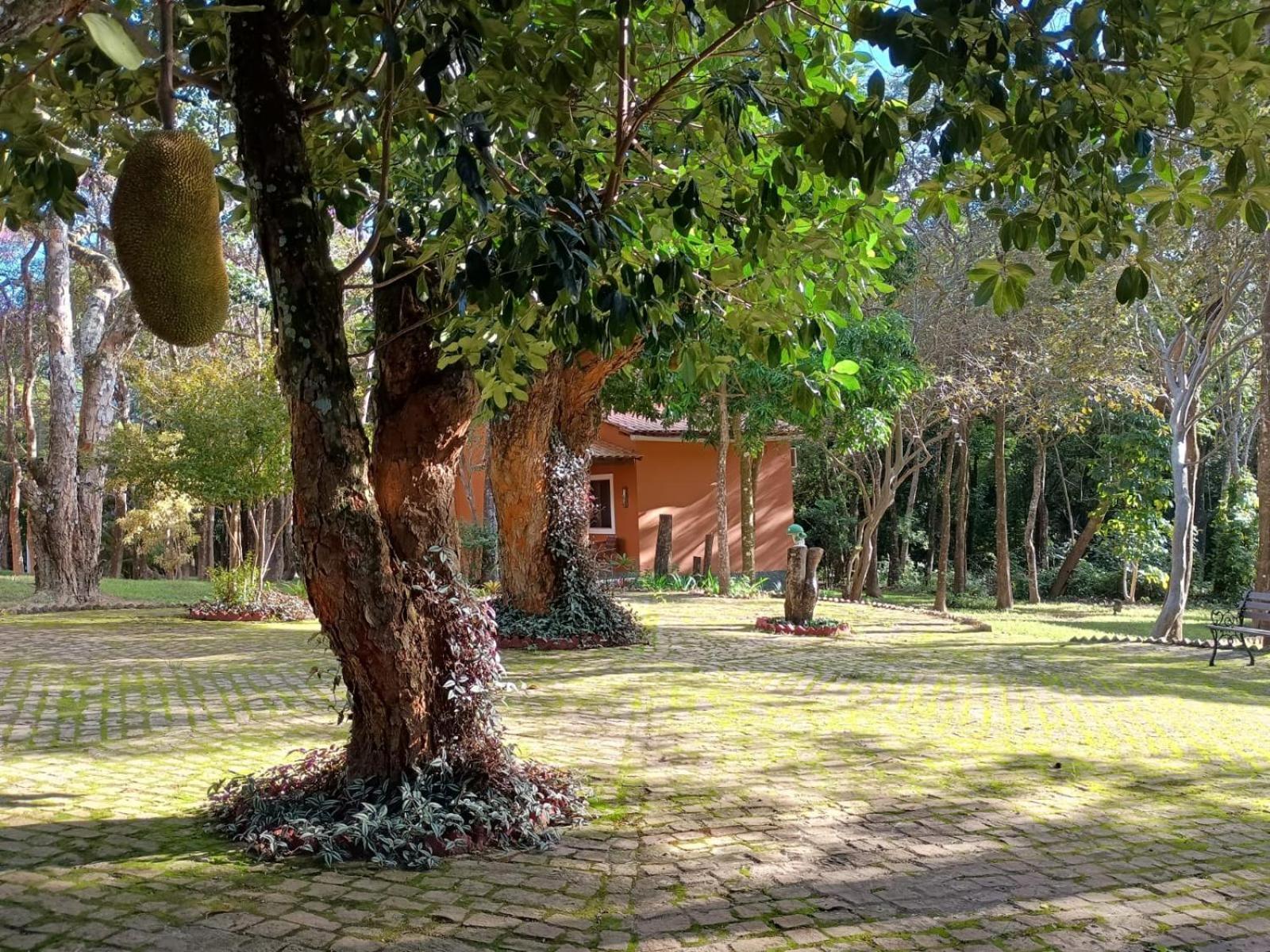 Villaflor Pousada Vale do Capão Extérieur photo